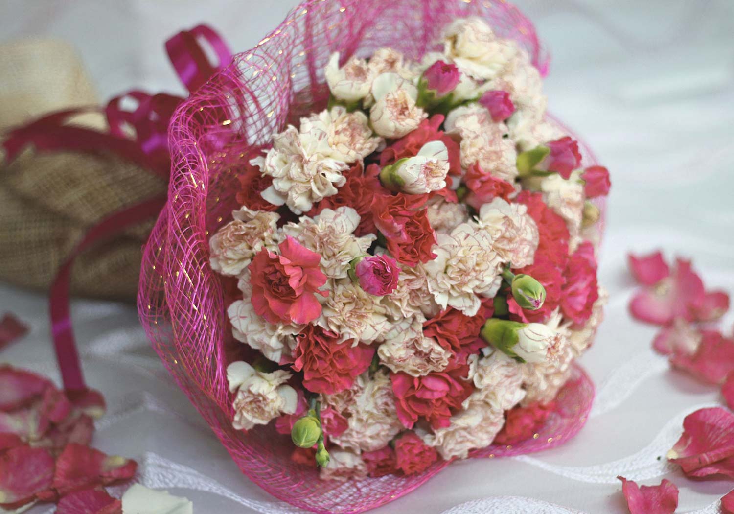 1-dozen-pink-and-1-dozen-white-carnations